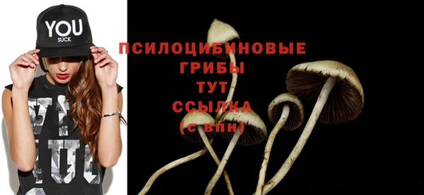спайс Аркадак